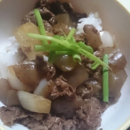 オイスターソースで簡単♪お肉が少なかったからこんにゃくプラスで作ってご飯に乗せた(^^)♪ニラの代わりに小ネギだけど、美味しかった❤ご馳走さまでした‼